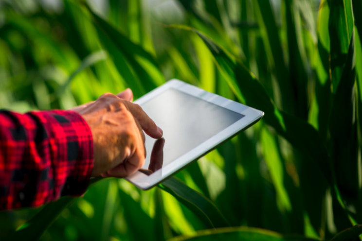 Automated CEA solutions to target labour shortages Automated CEA solutions to target labour shortages
