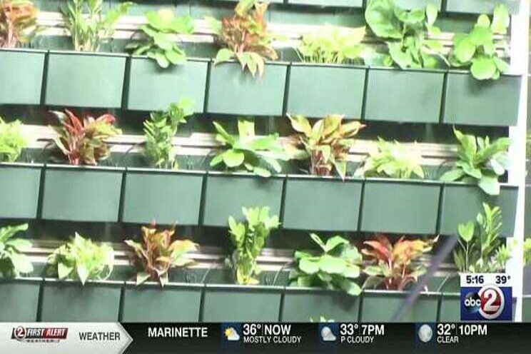 Fork Farms experiences growth in vertical farming Fork Farms experiences growth in vertical farming