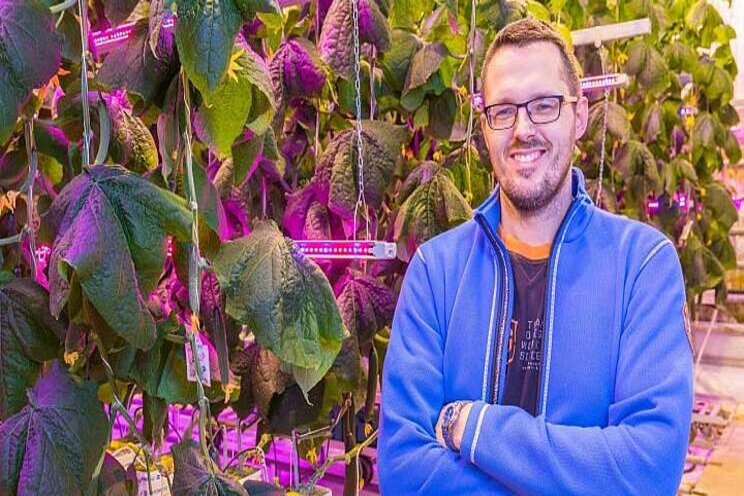 High goals for high tech cucumbers High goals for high tech cucumbers