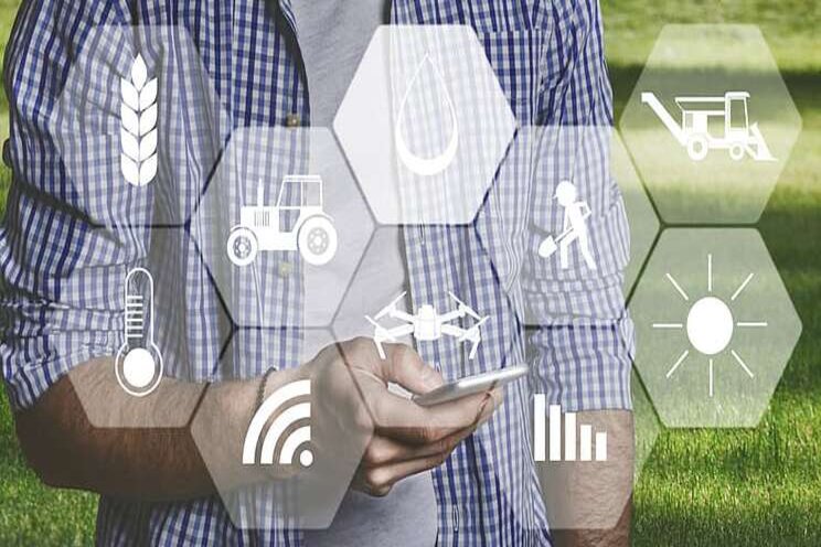 AI and vertical farming: Panacea for global food production AI and vertical farming: Panacea for global food production