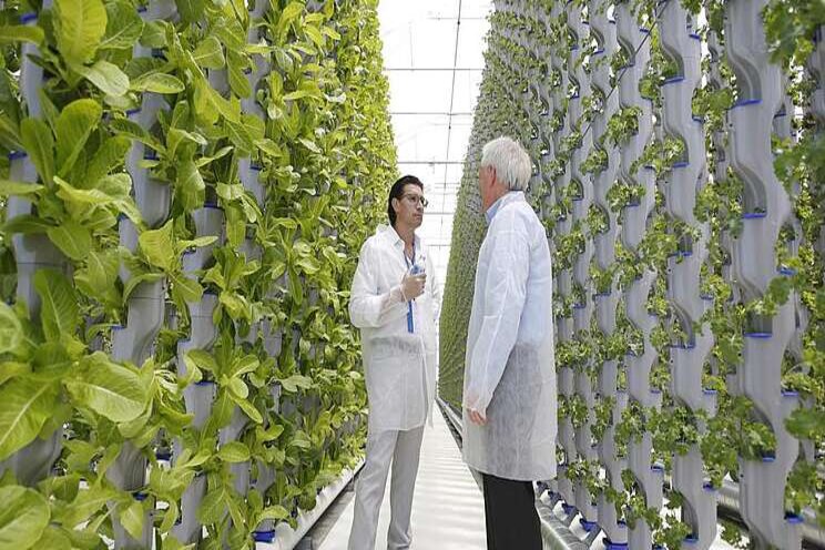 Vertical indoor farms make sense Vertical indoor farms make sense