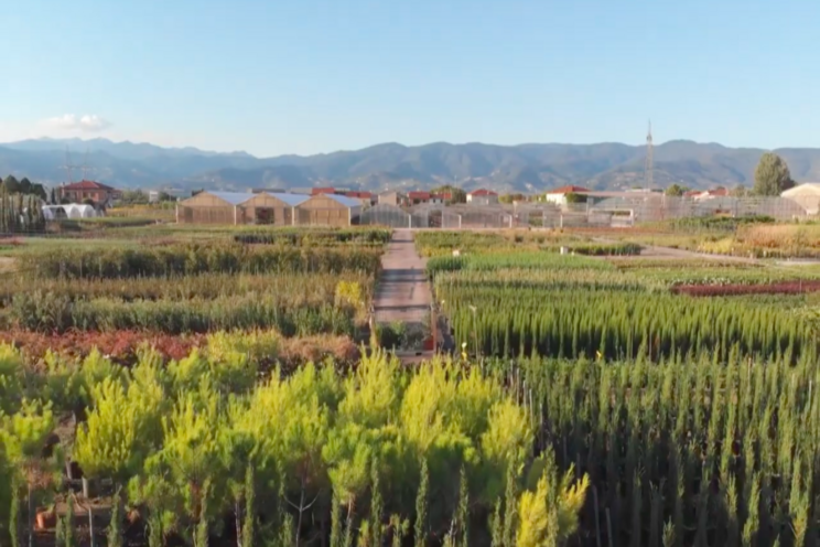 Tuscan Growers look to further expansion in 2021 Tuscan Growers look to further expansion in 2021