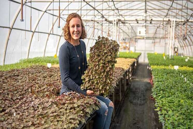 Two leading growers on the power of plant certification Two leading growers on the power of plant certification