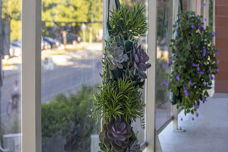 Growing interest in vertical gardening Growing interest in vertical gardening