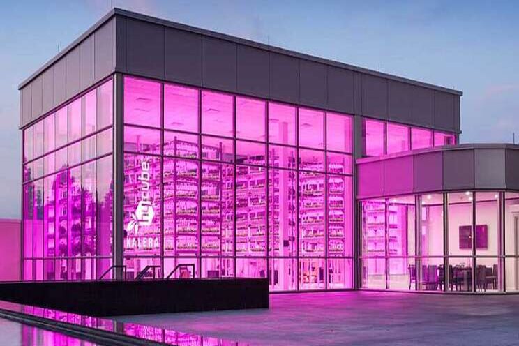 The emerging trends affecting indoor farming The emerging trends affecting indoor farming