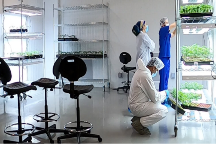 The world's first cannabis R&D facility of its kind The world's first cannabis R&D facility of its kind
