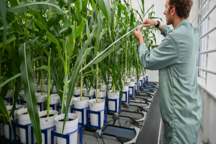 The first agricultural biotechnology incubator The first agricultural biotechnology incubator