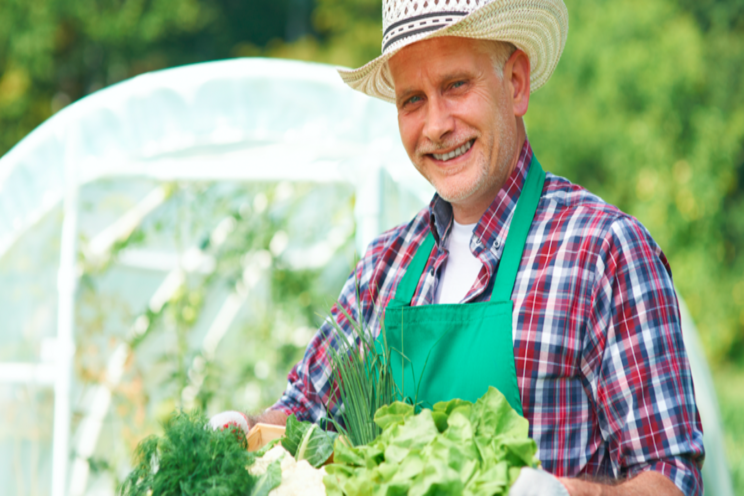 The new insect management options for vegetable growers The new insect management options for vegetable growers