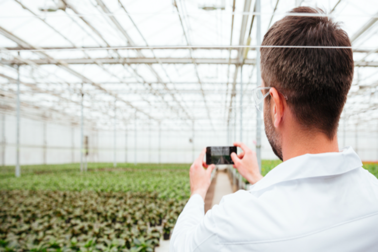 Growers ask for more time to comply with light pollution law Growers ask for more time to comply with light pollution law
