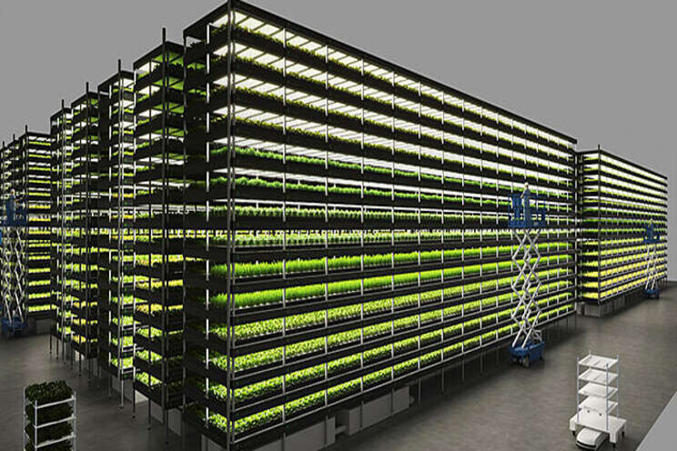 This wind-powered vertical farm produces 1,000 tons of greens