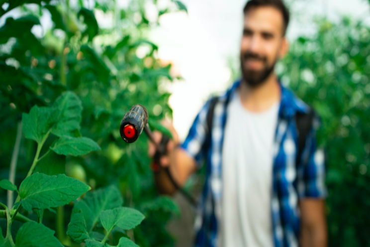 Harness pheromones for sustainable pest control Harness pheromones for sustainable pest control
