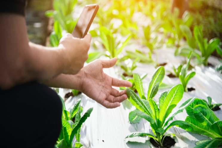Smart Farming: IoT is transforming the future of agri Smart Farming: IoT is transforming the future of agri