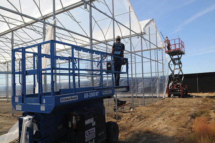 How to build a greenhouse for cannabis production How to build a greenhouse for cannabis production