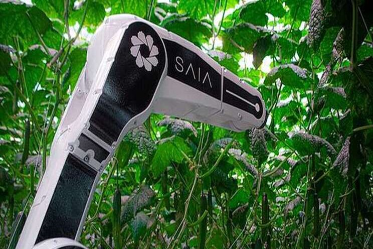 Dutch robotics company developing leaf cutting robot Dutch robotics company developing leaf cutting robot
