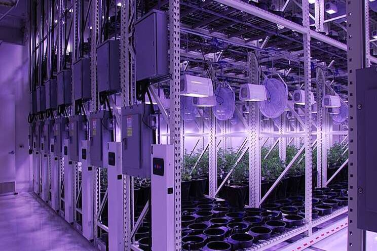 Never forget the horizontal in vertical farming Never forget the horizontal in vertical farming