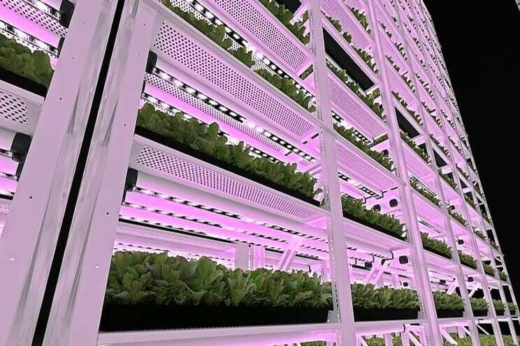 Hawaii's largest vertical farming facility to be opened Hawaii's largest vertical farming facility to be opened