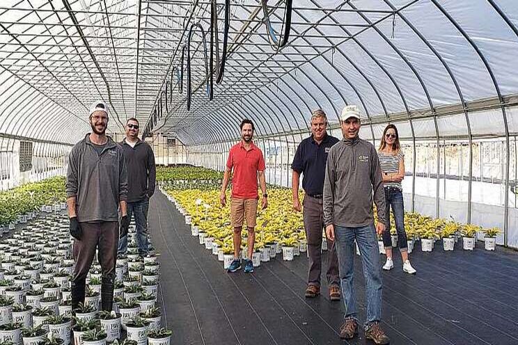 Can you perfect plant production? Can you perfect plant production?