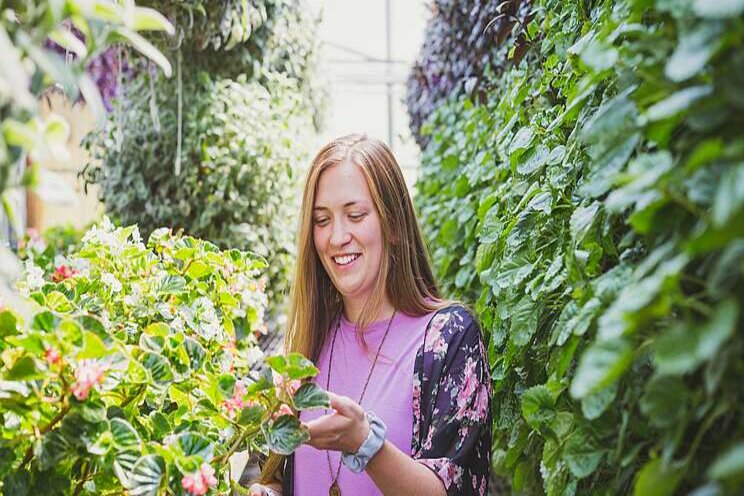 New collaboration on begonia breeding New collaboration on begonia breeding