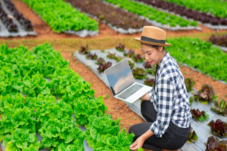 The sustainable solution to the world's food production challenge The sustainable solution to the world's food production challenge