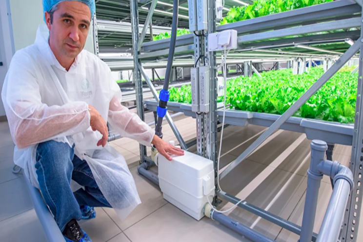 How much electricity does a vertical farm use? How much electricity does a vertical farm use?