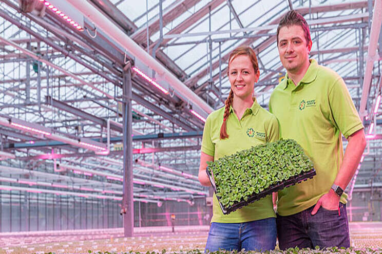 Higher quality and lower costs thanks to LED Higher quality and lower costs thanks to LED