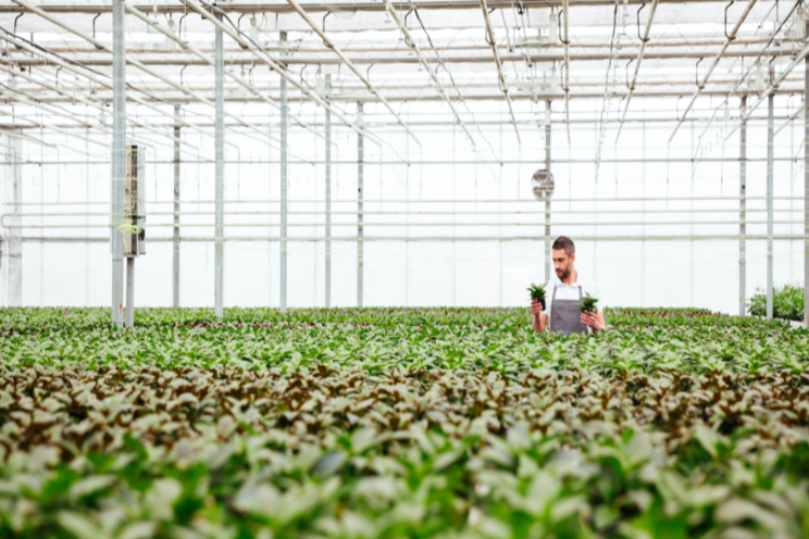 $7M raised for LUNA platform by commercial greenhouses $7M raised for LUNA platform by commercial greenhouses