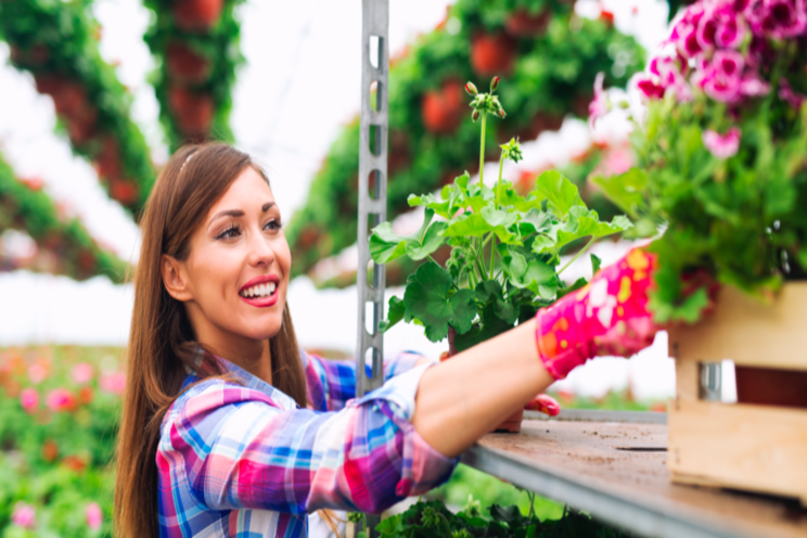 Horticulture as an agricultural commodity Horticulture as an agricultural commodity