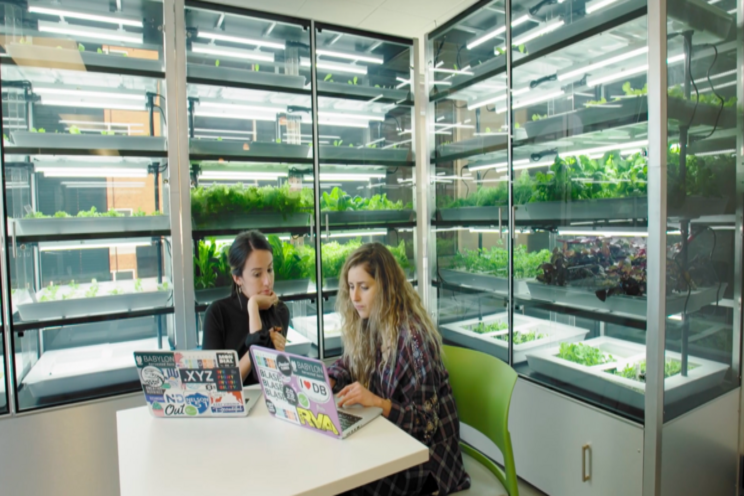 5 benefits of corporate wellness programs 5 benefits of corporate wellness programs