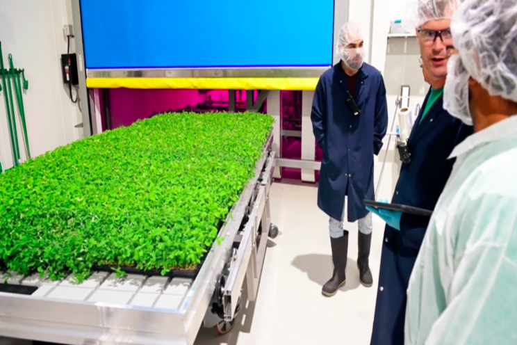 Sustainable agriculture with LED lighting Sustainable agriculture with LED lighting