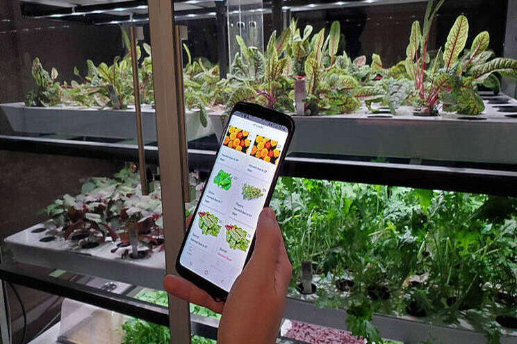 The future of environmental sustainability in agriculture The future of environmental sustainability in agriculture
