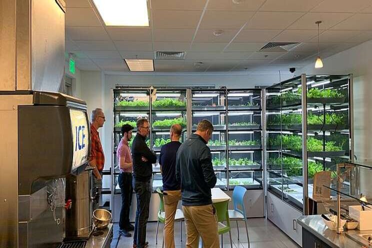 Indoor farming will drive a post-pandemic food supply reset Indoor farming will drive a post-pandemic food supply reset