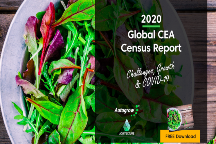 New report shows continued positivity despite covid New report shows continued positivity despite covid