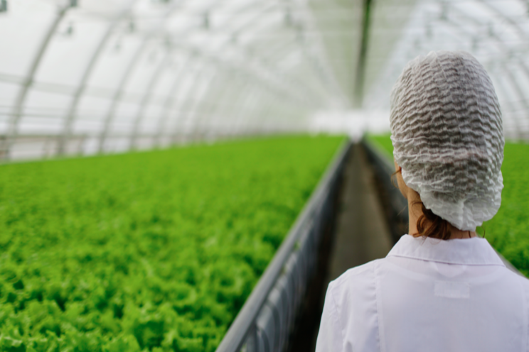 Covid-19 to change the horti business hiring Covid-19 to change the horti business hiring