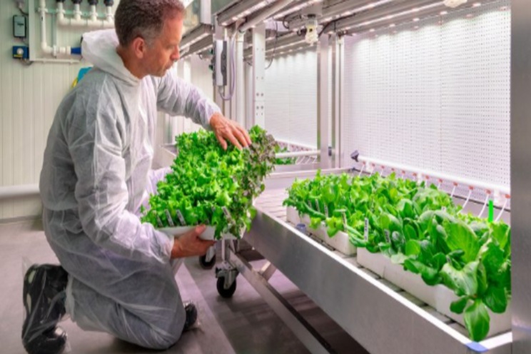 Innovation power for healthy and sustainable vegetable growing Innovation power for healthy and sustainable vegetable growing