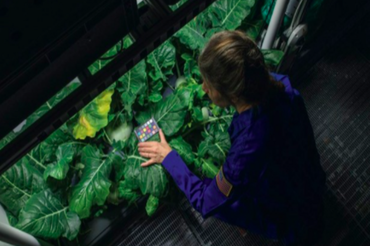 How to grow food in space for human space colonies How to grow food in space for human space colonies