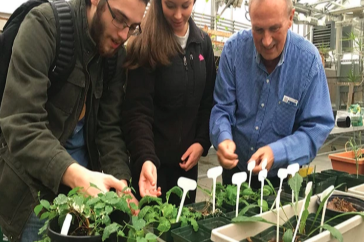 Turning the Red Planet green: How we'll grow crops on Mars' Turning the Red Planet green: How we'll grow crops on Mars'
