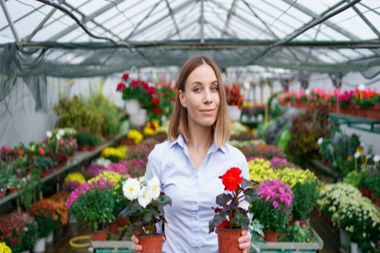 5 environmental threats to greenhouses 5 environmental threats to greenhouses