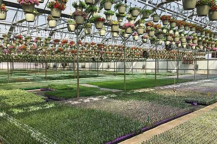 Major focus of virtual grower expo in Michigan Major focus of virtual grower expo in Michigan