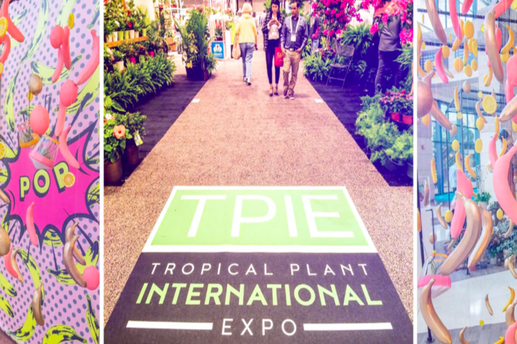 TPIE announces cancellation of its 2021 show TPIE announces cancellation of its 2021 show