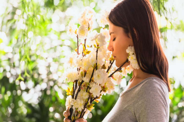 Everything about growing jasmine indoors