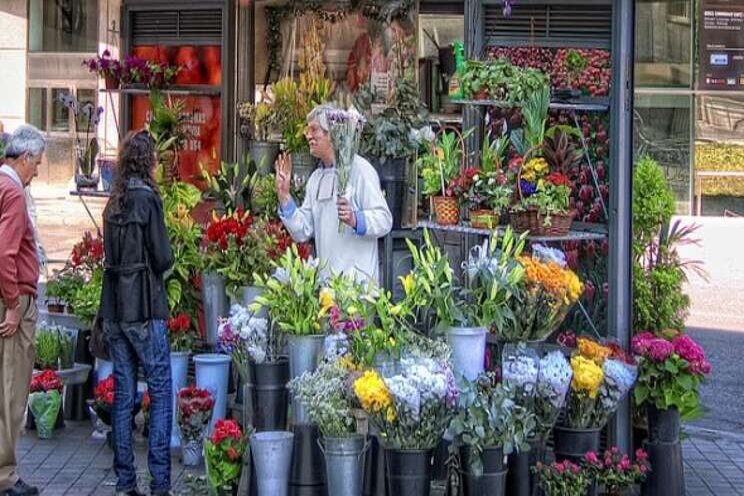 The most popular holiday flowers The most popular holiday flowers