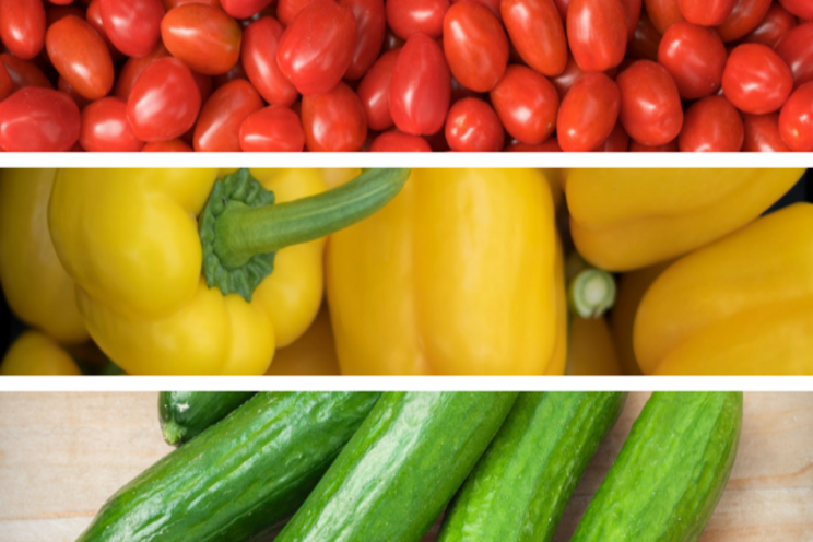 Veggie storage guide: The best way to keep them fresh Veggie storage guide: The best way to keep them fresh