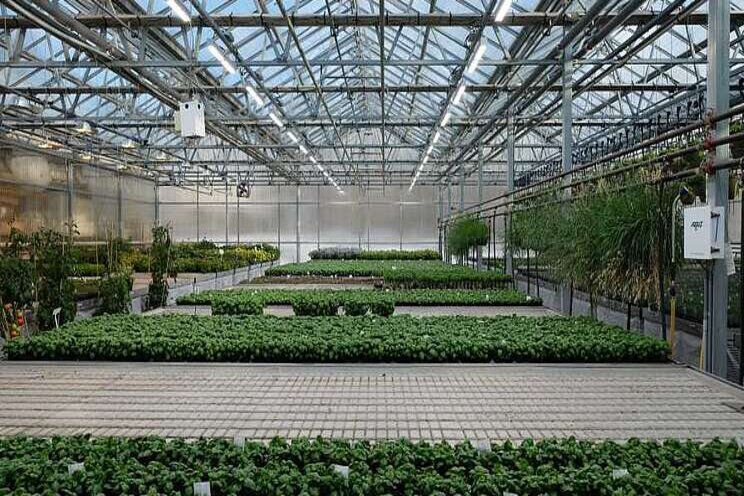 Greenhouse designs as models for other industries Greenhouse designs as models for other industries