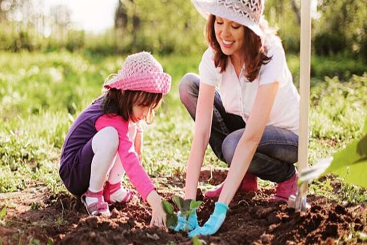 Great news for horti: Home gardening to grow in 2021 Great news for horti: Home gardening to grow in 2021