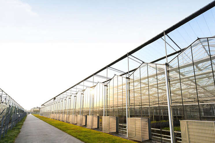 What is an Agritech greenhouse? What is an Agritech greenhouse?