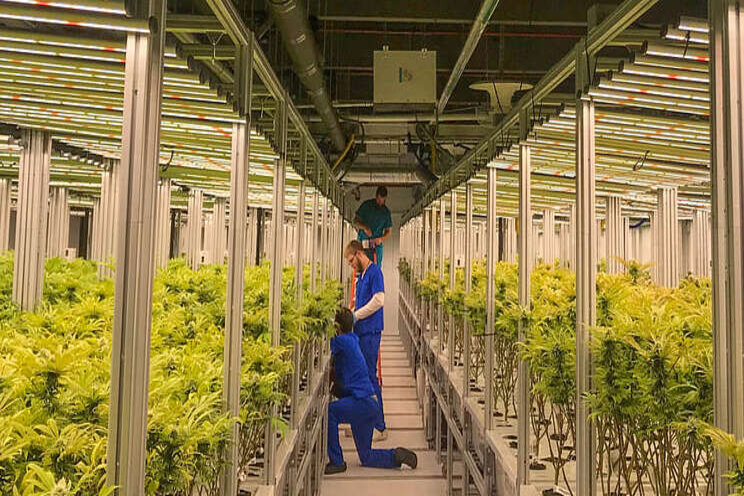 Tips on grow room design Tips on grow room design