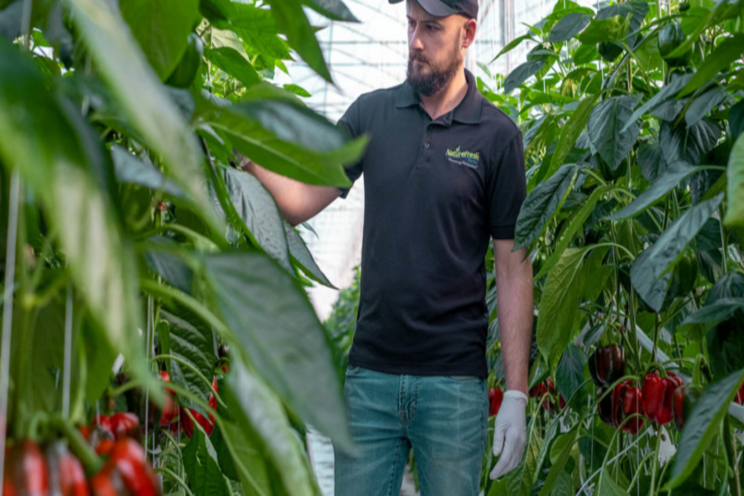 Fresh produce heroes & how farms are keeping the world fed Fresh produce heroes & how farms are keeping the world fed