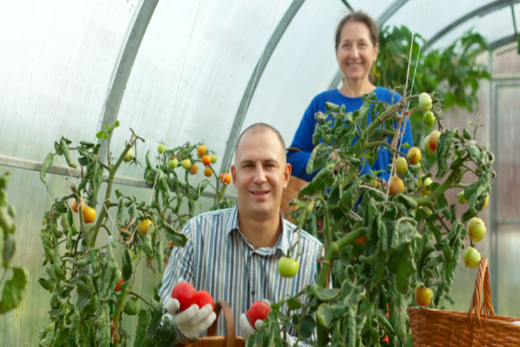 Canada proposes to approve Mycotal Biological Insecticide Canada proposes to approve Mycotal Biological Insecticide