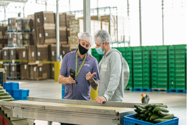 The importance of greenhouse food safety practises The importance of greenhouse food safety practises