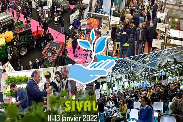 The SIVAL postponed until 2022 The SIVAL postponed until 2022